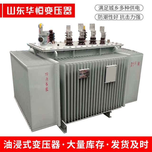 S13-10000/35临西临西临西电力变压器厂家