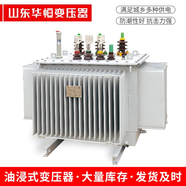 S13-10000/35临西临西临西电力变压器