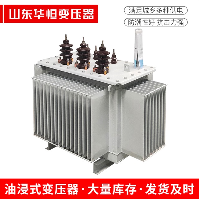 S13-10000/35临西临西临西油浸式变压器厂家